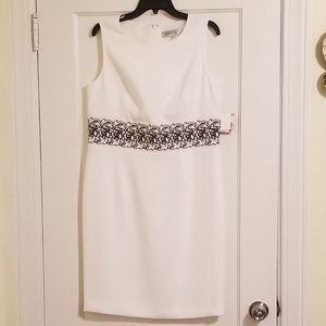 Kasper Lily White Dress